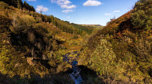 Scenic view of forest against sky during autumn