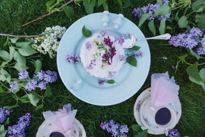 High angle view of pink flowers in pot