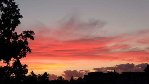 Low angle view of silhouette trees against orange sky