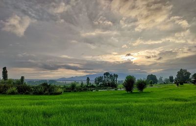 sky