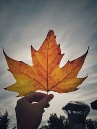 Close-up of hand holding maple leaf against sky