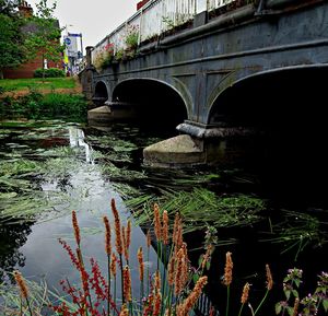 Bridge over canal