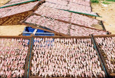 Low angle view of wall