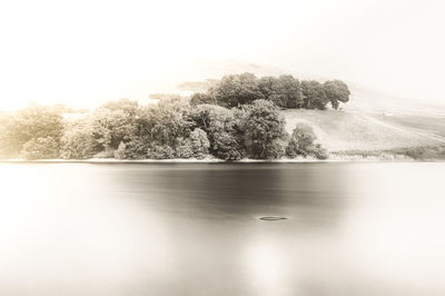 Scenic view of lake by trees against sky