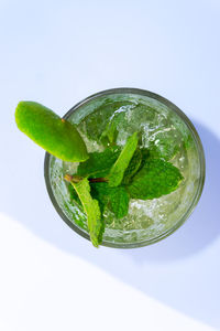 Close-up of leaf over white background