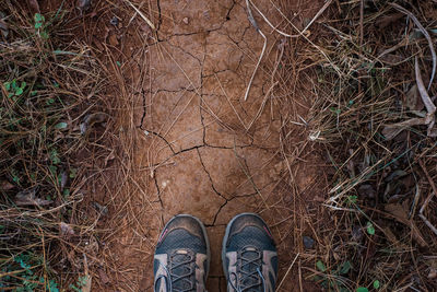 Low section of person standing on field