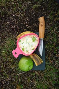 High angle view of fruits on field
