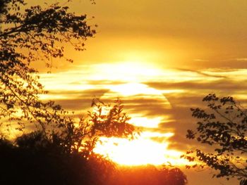 Silhouette trees against dramatic sky during sunset