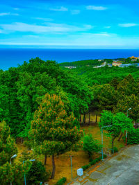 Scenic view of trees by sea against sky