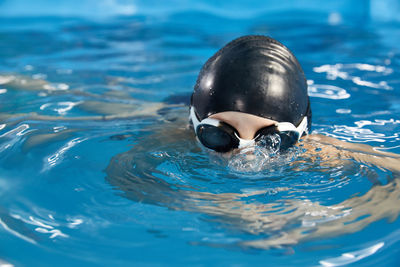 Close-up of swimming in water