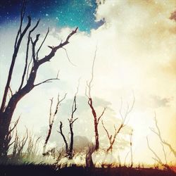 Bare trees on landscape against sky