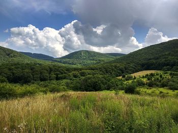 Scenic view of field against sky