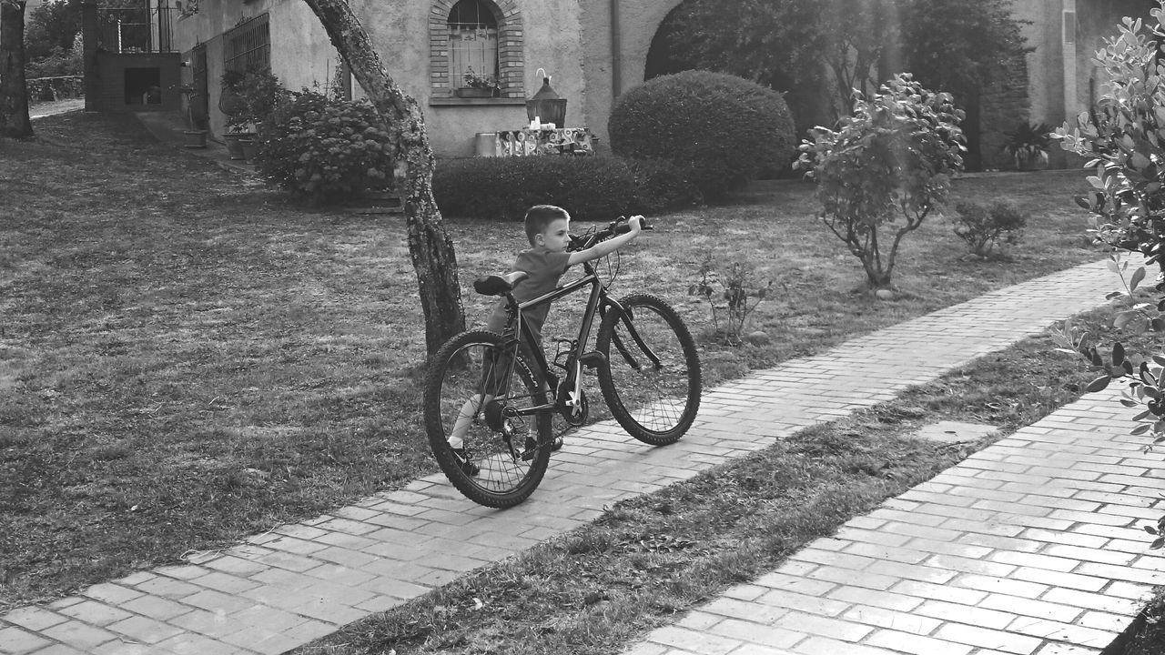 bicycle, transportation, mode of transport, land vehicle, parked, stationary, street, building exterior, parking, riding, sunlight, sidewalk, shadow, built structure, footpath, architecture, outdoors, road