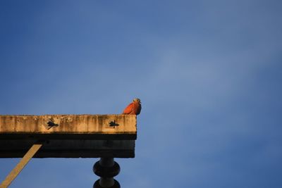 Low angle view of bird perching on roof against sky