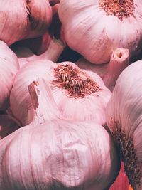 Full frame shot of garlics for sale in market