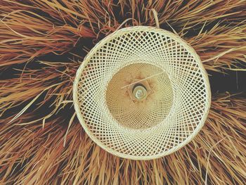 Full frame shot of plant,hay with basket, ,low angle view of ceiling