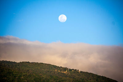 Scenic view of landscape against blue sky