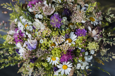 Close-up of purple flowering plants