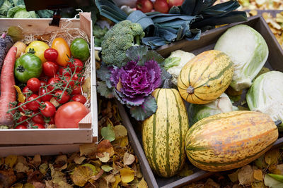 High angle view of freshly produce vegetables in basket at yard