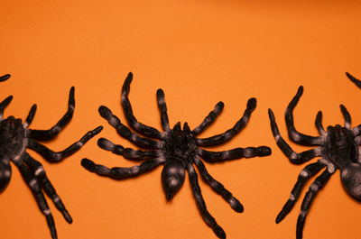 Close-up of pumpkin on table against orange background