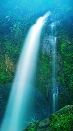 View of waterfall in forest