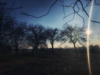 Silhouette bare trees on landscape against sky