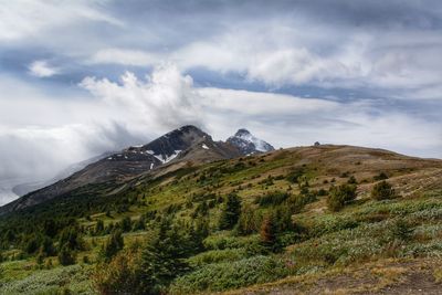 Parker ridge, jasper national park, ab, canada