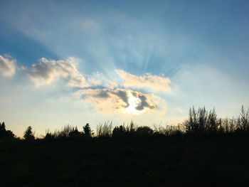 Silhouette trees on field against sky at sunset