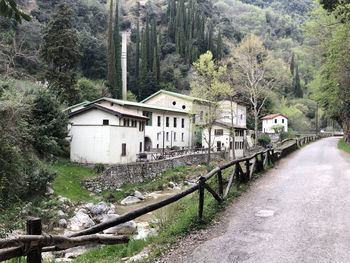 Road amidst trees and houses in forest