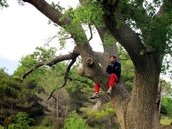 Full length of tree trunk amidst plants