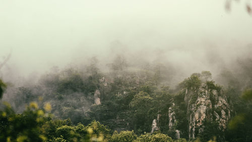 Trees on mountain against sky