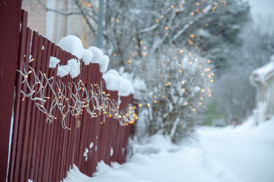 Close-up of frozen treechristmas lights during winter