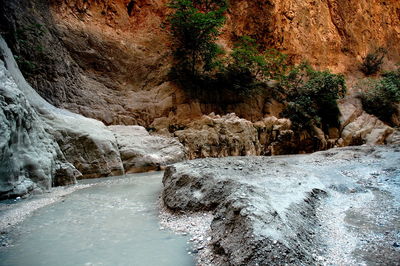 River flowing through forest