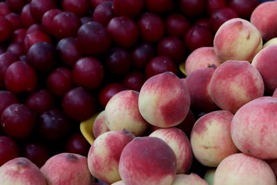 Full frame shot of peach and plum for sale