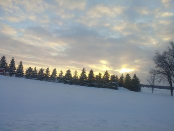 Trees on snow covered landscape against sky