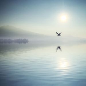 Sun shining through clouds over sea