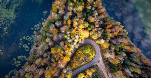 High angle view of sea