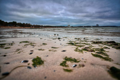 Surface level of wet sand on beach against sky