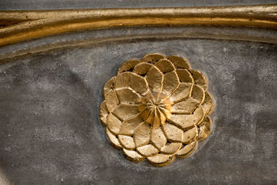 High angle view of shells on sea shore