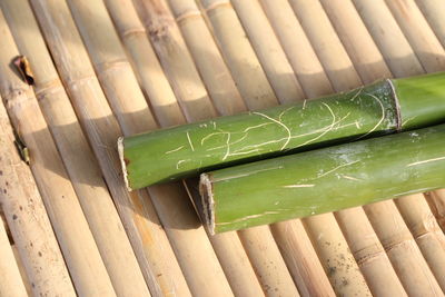 High angle view of bamboo on table
