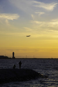 Silhouette bird flying over sea against sky during sunset