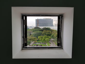 Plants seen through window of building