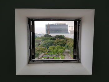 Plants seen through window of building