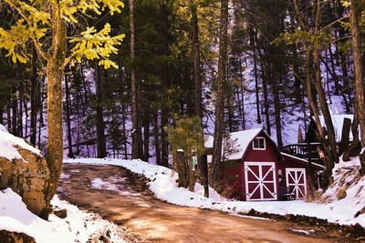 Scenic view of snow covered landscape