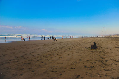 People on beach against blue sky