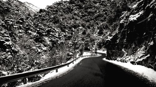 Road passing through trees