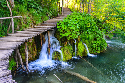 Scenic view of waterfall in forest