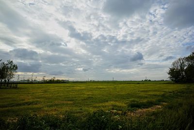 Scenic view of field against sky