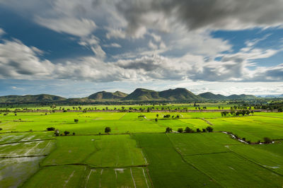 Scenic view of field against sky