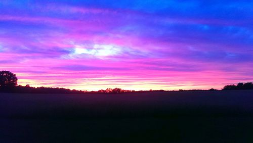 Silhouette of trees at sunset